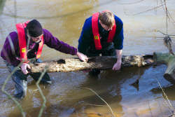 Simon & George recover the timber