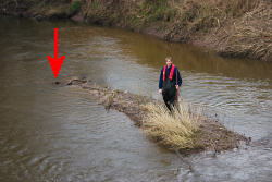 Simon on island to recover second timber