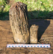 Round peg in rectangular hole