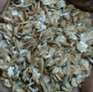Barley after milling