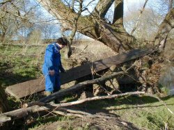 This timber beam was washed up during a flood of the river Dane, and will be used in the construction of the new fire place