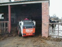 Clearing the new shed