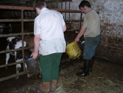 Not there...  It's in the bucket...