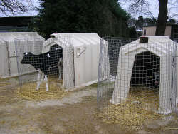 Calf hutch