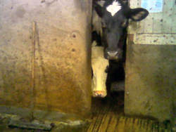 All clear....   Let's go