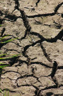 Cracks appear as Earth bakes under spring sun