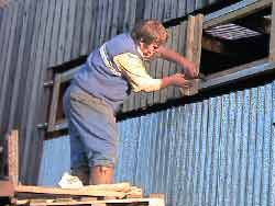 Replacing the boarding on the cubical shed