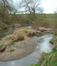 River Dane 01 Mar 2003