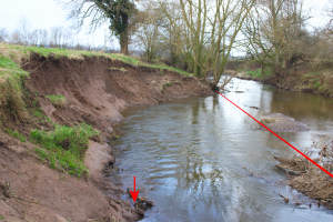 Eroded part of river bank and location of timbers