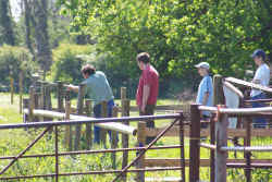 Puting up fence for picnic area