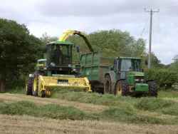 Forage harvester