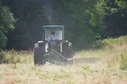 Haymowing and Grass pollen