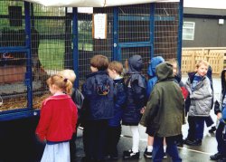 Children view the trailer