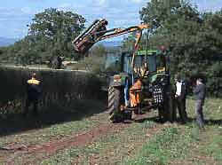 Hedge cutting