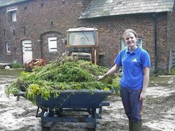 Lizzy on works experience and a days work