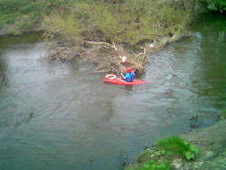 Mark attacks tree for life bouy