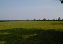 Milestone field photo