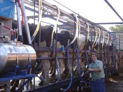 Phil impersonating the back of a cow