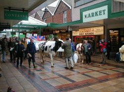 March to highlight the current low milk prices