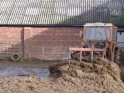 Cleaning up the muck