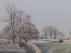 A blot on the landscape