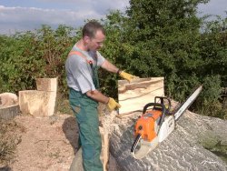 Chainsaw massacre....