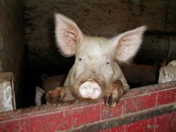 Any word from the Home Secretary , Gov.