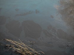 oil spil on Motorway 6-8 miles away from Greenheyes