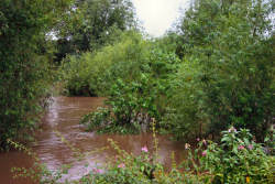Flooded river Dane