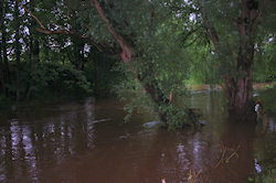 River in flood