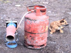 Bird and Smidge scarer