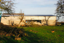 Fallen tree, broken building