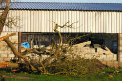 After removing the tree the damage was found to be easily repaired