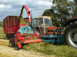 Chopping the grass for sialge