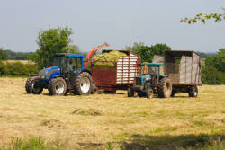 Silaging