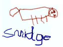 Picture of Smidge by 3yrs old James