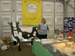 Tatton Food Festival