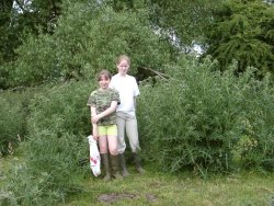 A couple of Thistles!!!