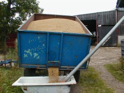 Emptying the trailer