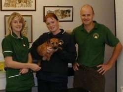 Smidge with the Team at Wllows Vetenary Group.