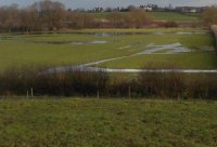 waterlogged fields