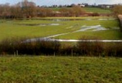 Water logged field