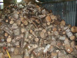 The Woodpile