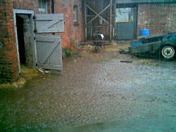 Flooding in yard